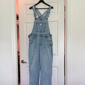 Carly Jean Los Angeles Light Wash Denim Overalls